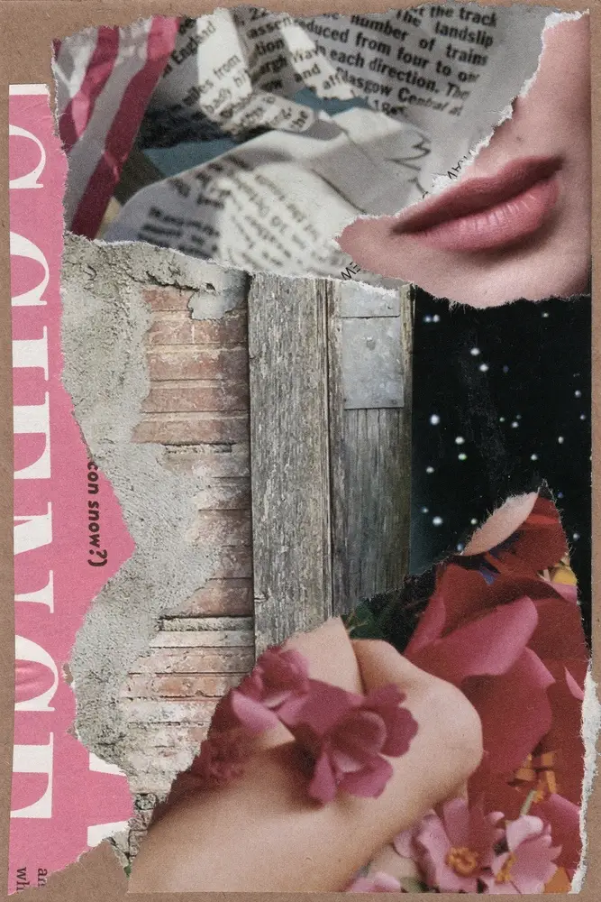 A collage featuring torn paper: a womans lips, a strip of newspaper, a starry sky, weathered wood, pink flowers, and part of a pink page with white letters.