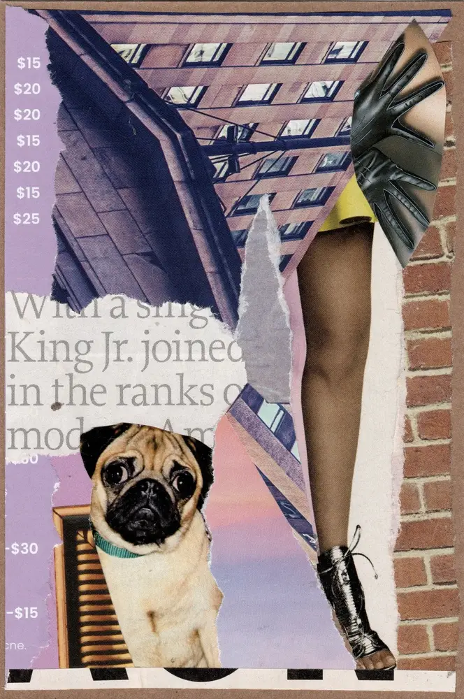 A collage featuring a pug, a womans legs in heels, torn newspaper, price tags, and city buildings, all layered together with ripped edges and a brick background.