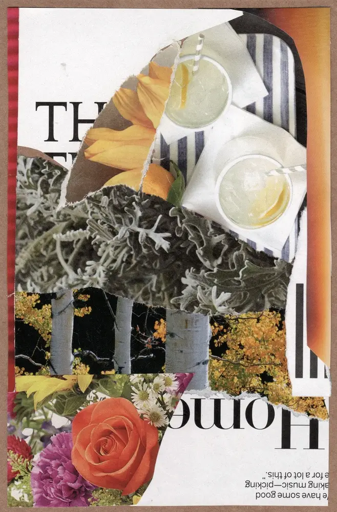 A collage featuring a rose, yellow flowers, leafy greens, birch trees, lemons, drinks with ice, and fragments of striped fabric and text. The image elements overlap in a layered, artistic arrangement.