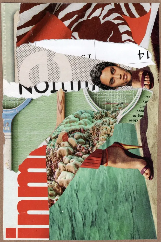 A colorful collage with torn paper layers showing parts of a face, zebra stripes, green fabric, underwater coral, and bold red text fragments overlapping each other.