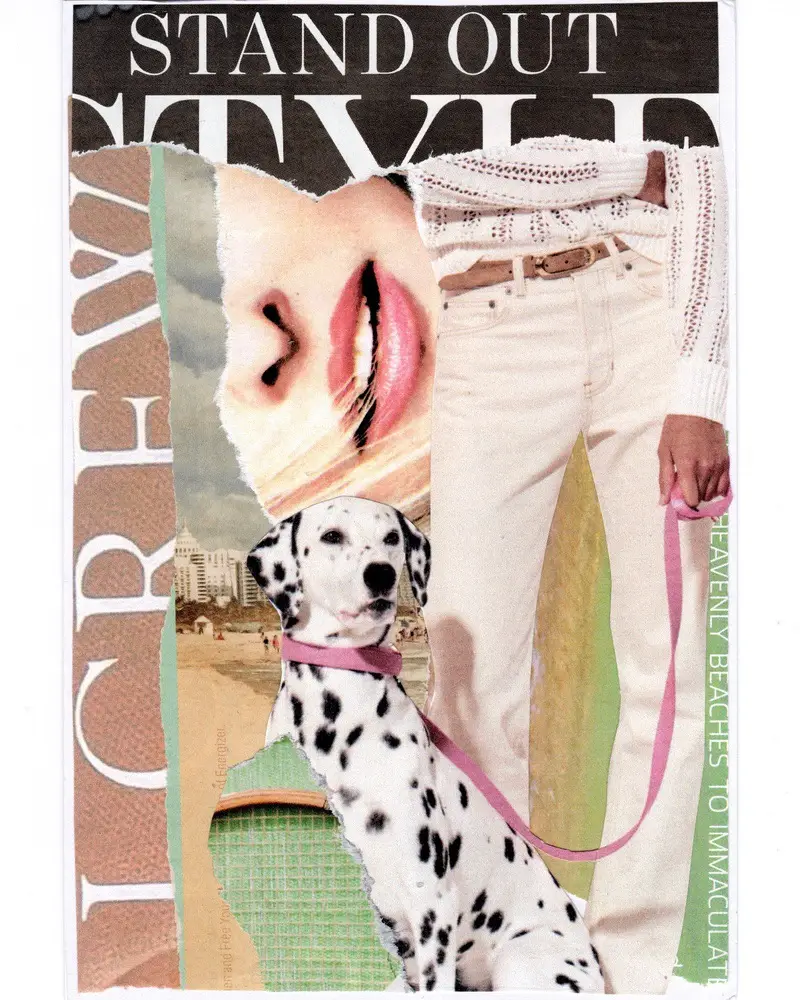 A collage featuring a smiling womans face, her white sweater and beige pants, text reading STAND OUT STYLE, and a Dalmatian dog on a pink leash with a beach scene in the background.